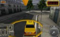 New York Taxi License 3D